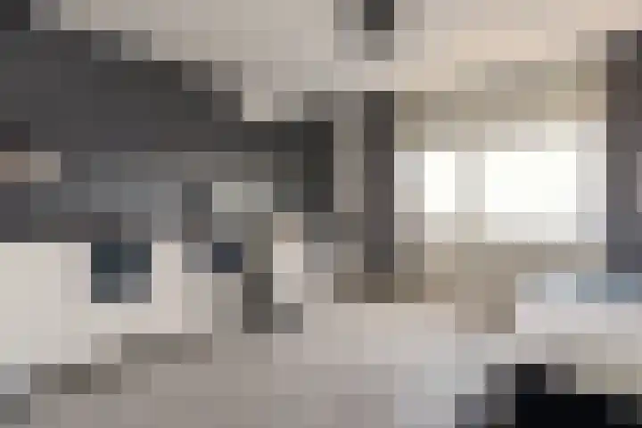 Nieuwsteeg 24 Tricht thumbnail 36