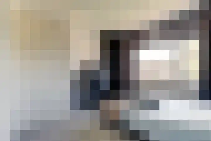 Nieuwsteeg 24 Tricht thumbnail 39