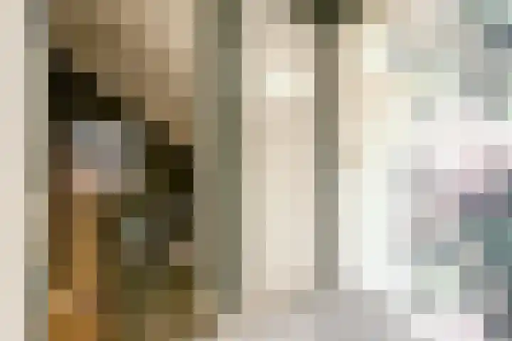 Nieuwsteeg 24 Tricht thumbnail 42
