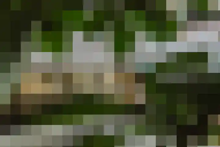 Nieuwstraat 100 Gilze thumbnail 11