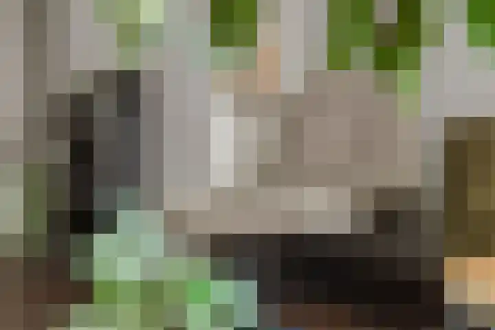 Nieuwstraat 100 Gilze thumbnail 14