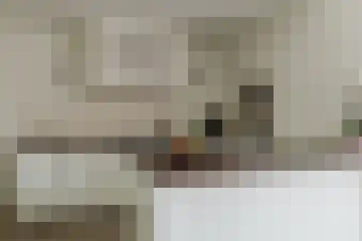 Nieuwstraat 100 Gilze thumbnail 21