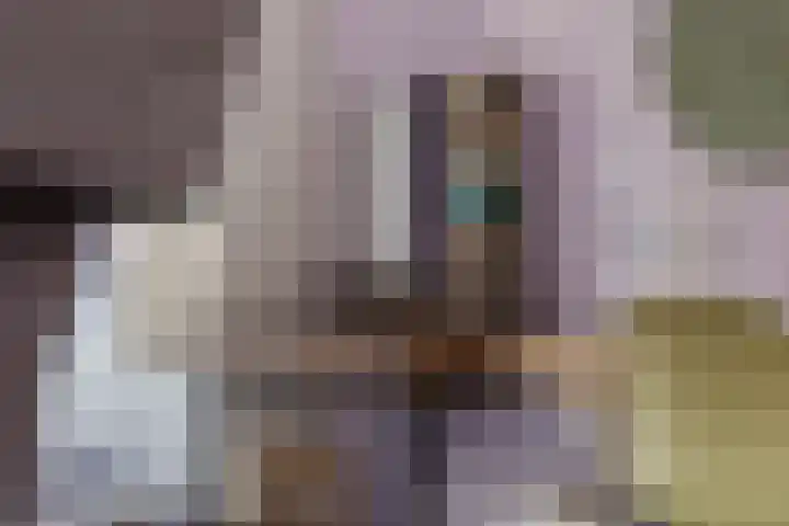 Nieuwstraat 100 Gilze thumbnail 35
