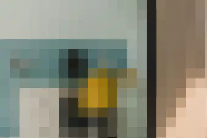 Nieuwstraat 100 Gilze thumbnail 38