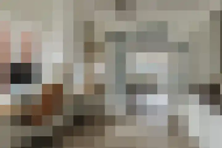 Nieuwstraat 100 Gilze thumbnail 4