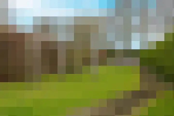 Nieuwstraat 100 Gilze thumbnail 59