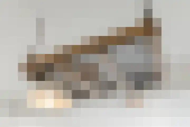 Nieuwstraat 23 Bodegraven thumbnail 24