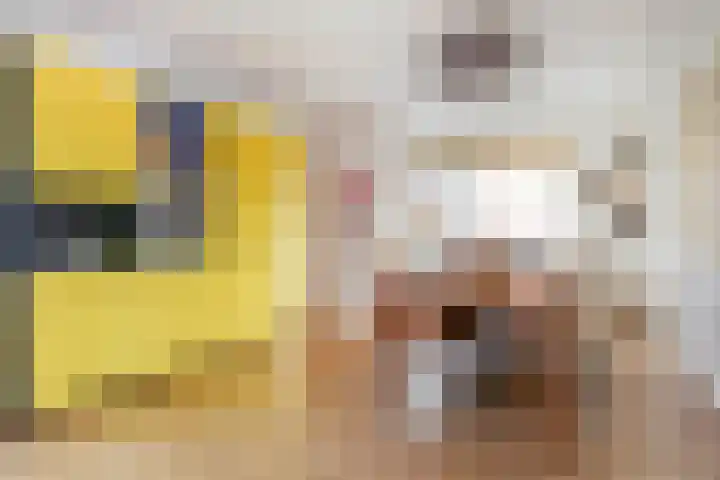 Nieuwstraat 28 Stein thumbnail 16