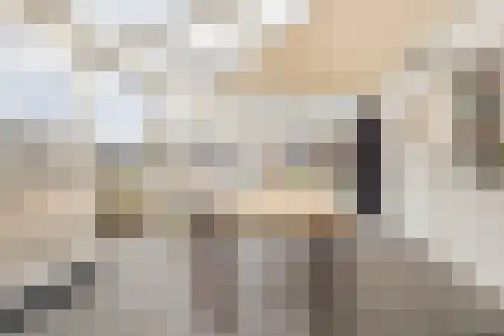 Nieuwstraat 28 Stein thumbnail 21