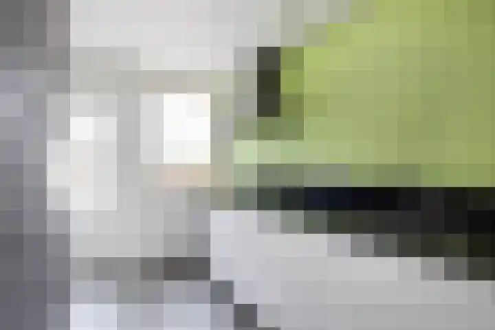 Nieuwstraat 28 Stein thumbnail 24