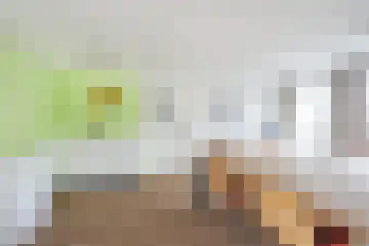 Nieuwstraat 28 Stein thumbnail 44