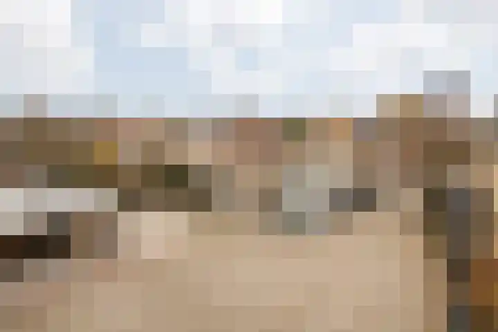 Nieuwstraat 28 Stein thumbnail 54