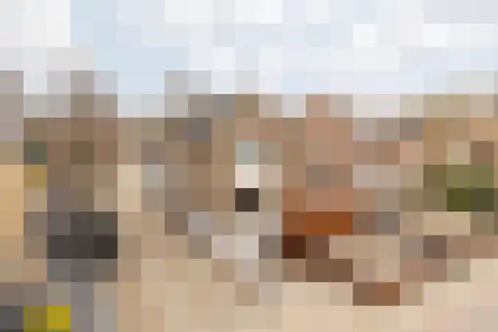 Nieuwstraat 28 Stein thumbnail 6