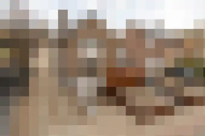 Nieuwstraat 28 Stein thumbnail 8