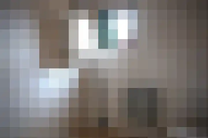 Nieuwstraat 32 Eede thumbnail 21