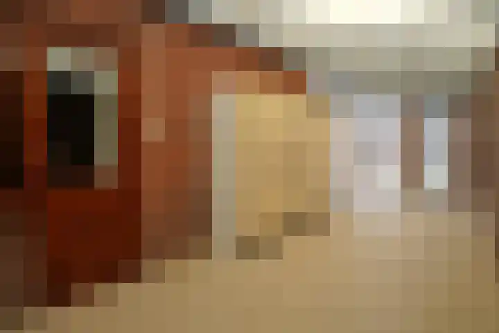 Nieuwstraat 32 Eede thumbnail 24