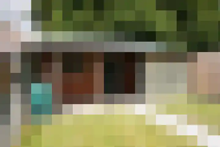 Nieuwstraat 32 Eede thumbnail 41