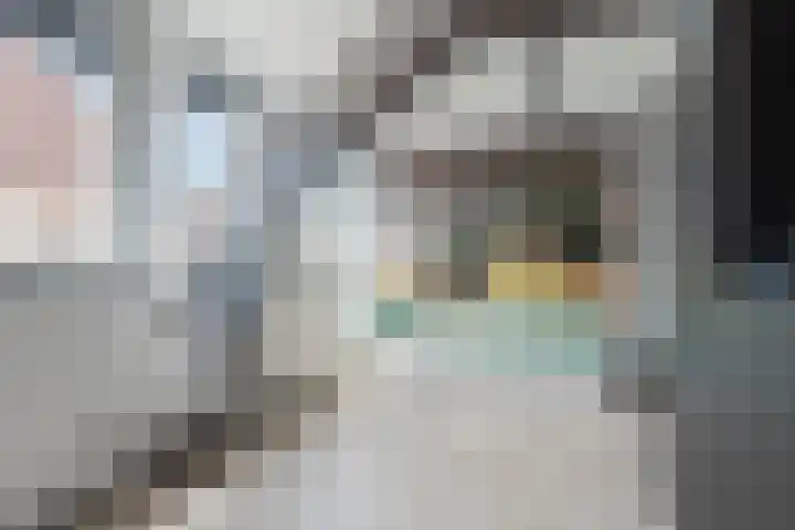 Nieuwstraat 52 Bodegraven thumbnail 24