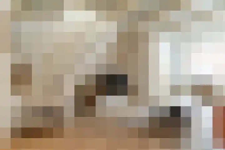 Nieuwstraat 54 Den Helder thumbnail 4