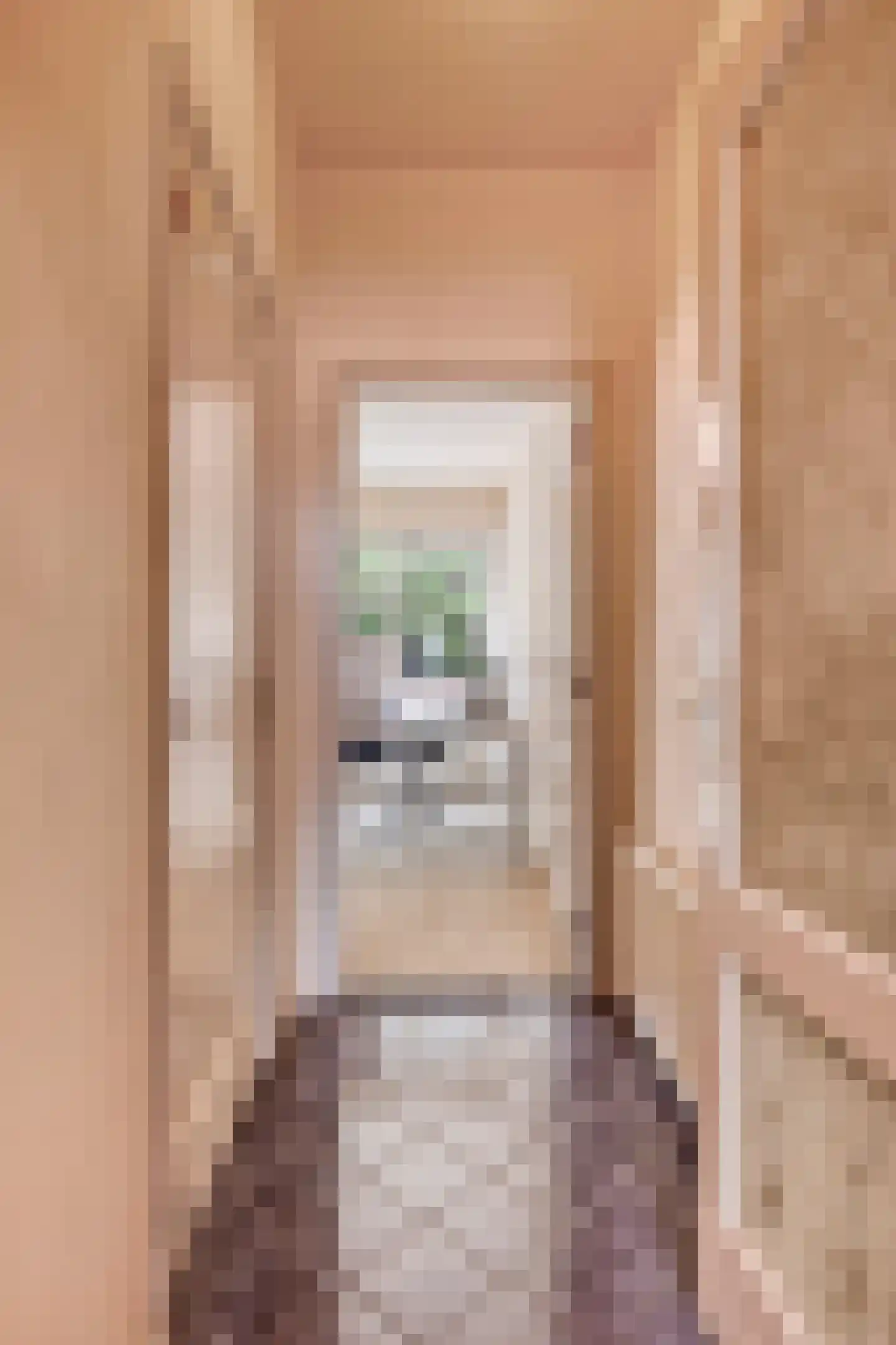 Nieuwstraat 63 Gemert thumbnail 19