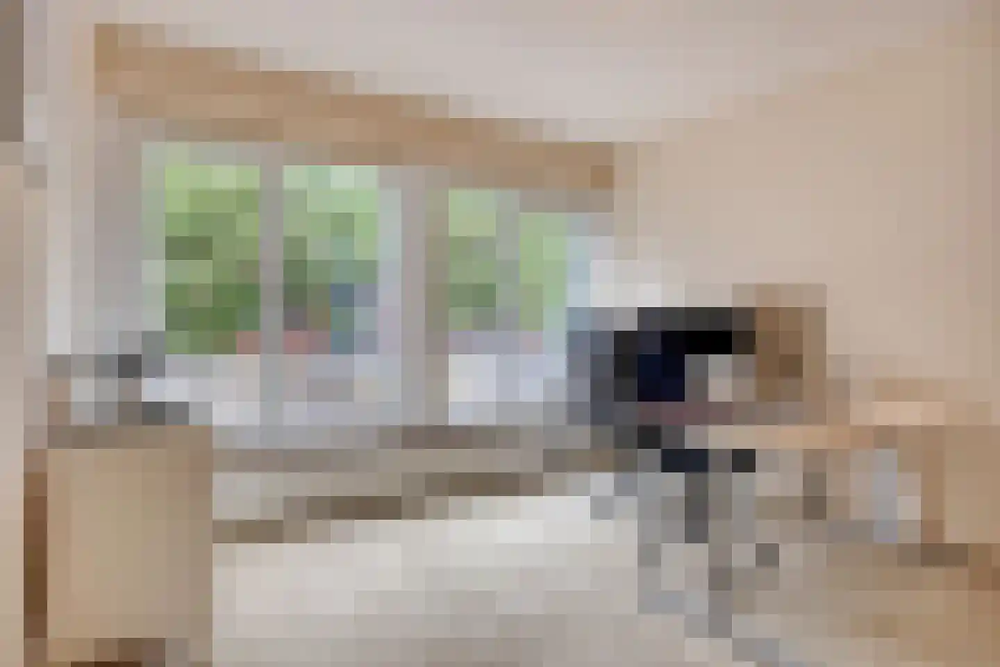Nieuwstraat 63 Gemert thumbnail 20