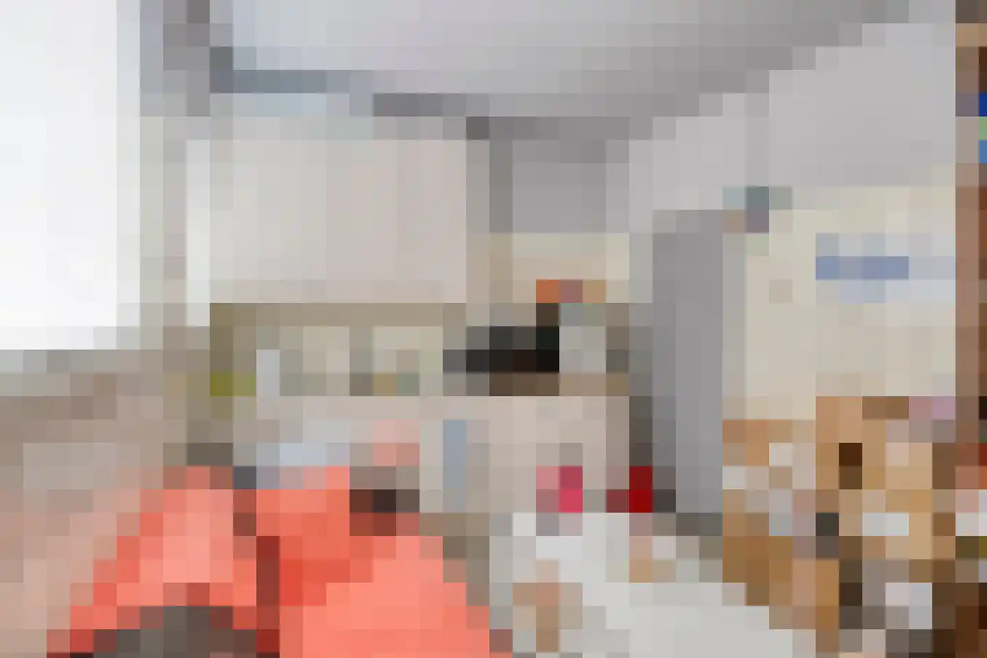 Nieuwstraat 63 Gemert thumbnail 50