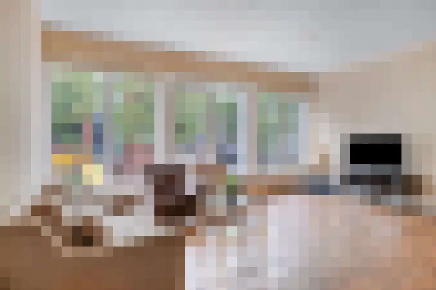 Nieuwstraat 63 Gemert thumbnail 9
