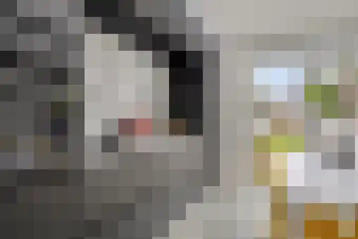 Nieuwstraat 66 Made thumbnail 13
