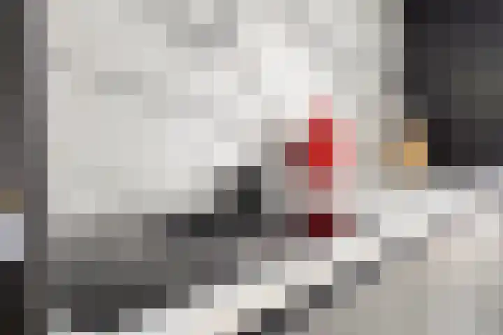 Nieuwstraat 66 Made thumbnail 15