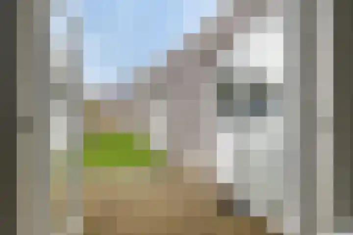 Nieuwstraat 66 Made thumbnail 34