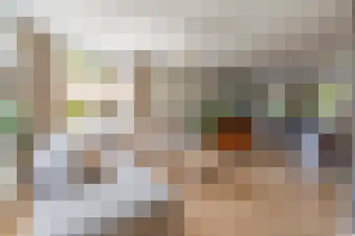 Nieuwveld 16 Gemert thumbnail 15