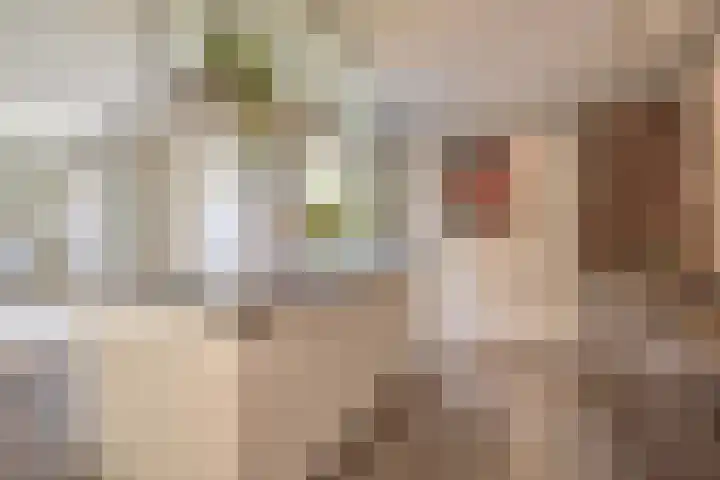 Nieuwveld 16 Gemert thumbnail 21
