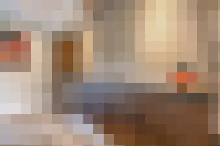 Nieuwveld 16 Gemert thumbnail 22