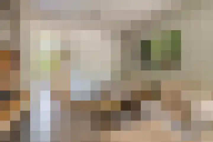 Nieuwveld 16 Gemert thumbnail 24