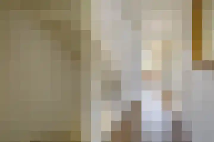 Nieuwveld 16 Gemert thumbnail 27