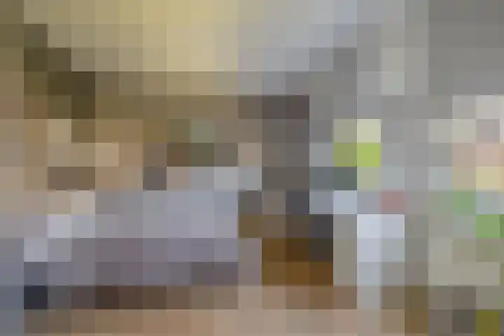 Nieuwveld 16 Gemert thumbnail 29