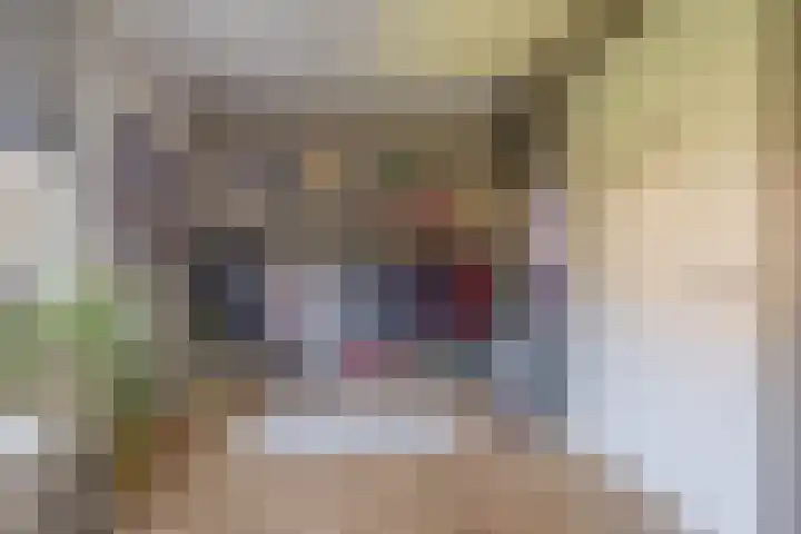 Nieuwveld 16 Gemert thumbnail 30