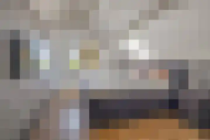 Nieuwveld 16 Gemert thumbnail 39