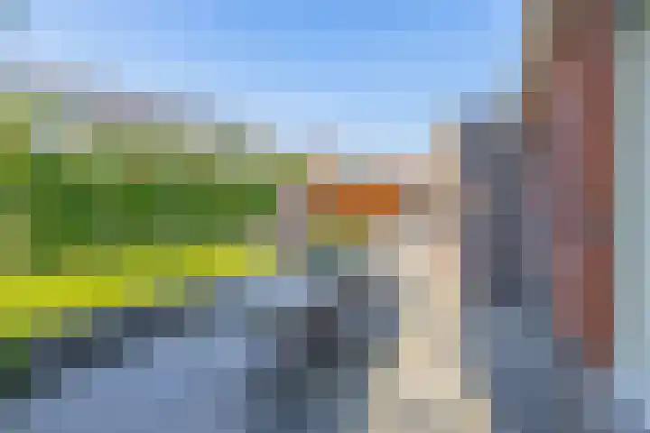Nieuwveld 16 Gemert thumbnail 4