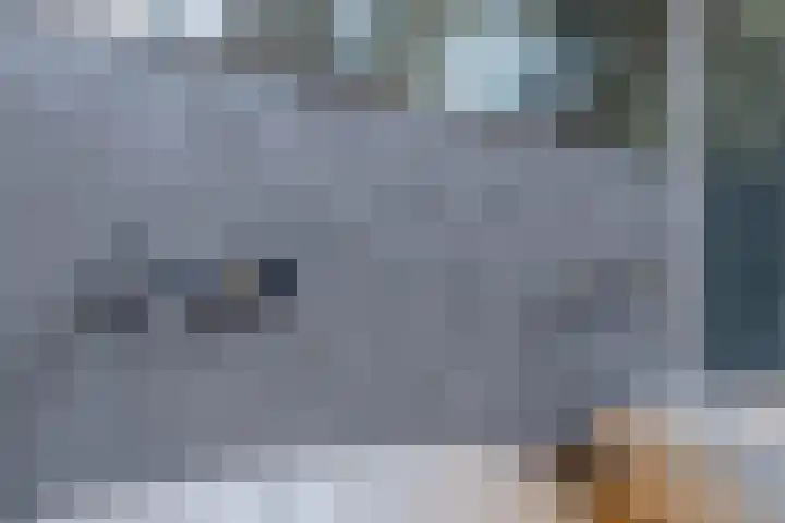 Nieuwveld 16 Gemert thumbnail 44