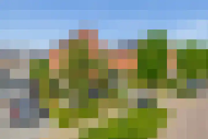 Nieuwveld 16 Gemert thumbnail 46