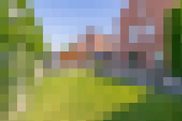 Nieuwveld 16 Gemert thumbnail 48