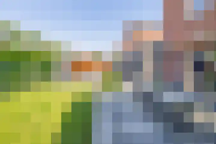 Nieuwveld 16 Gemert thumbnail 52