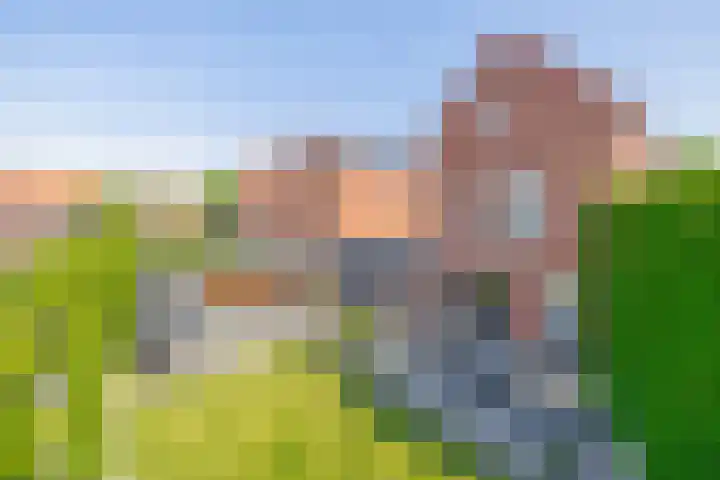 Nieuwveld 16 Gemert thumbnail 53