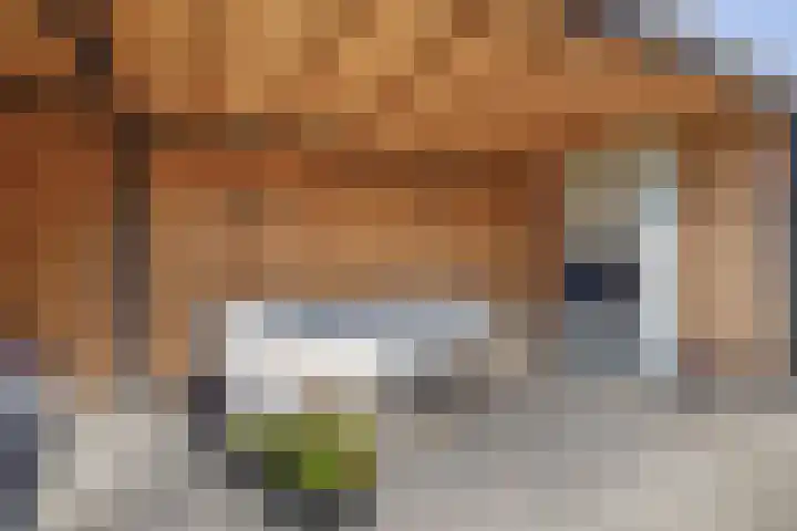 Nieuwveld 16 Gemert thumbnail 55
