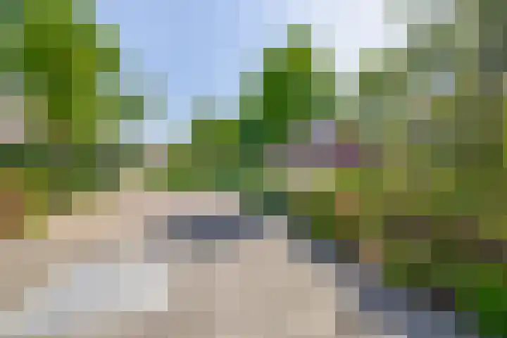 Nieuwveld 16 Gemert thumbnail 56