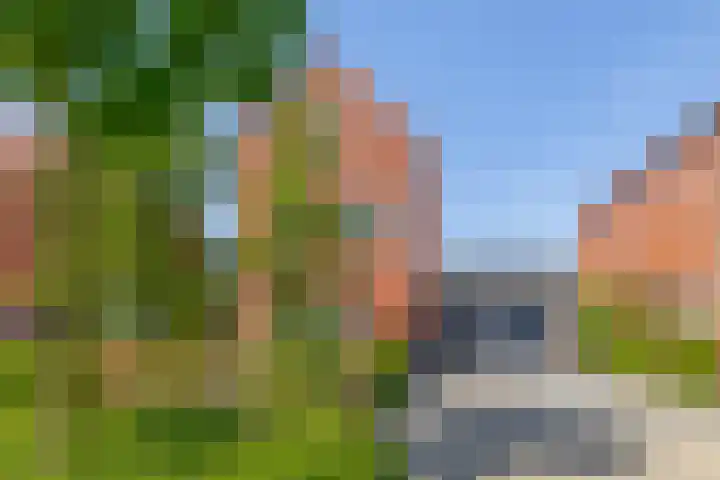 Nieuwveld 16 Gemert thumbnail 6