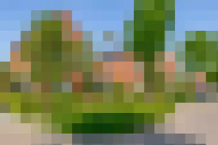 Nieuwveld 16 Gemert thumbnail 7