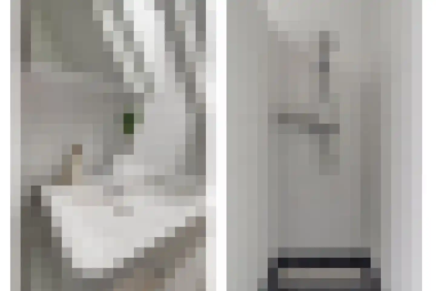 Nije Hof 1 Angeren thumbnail 12