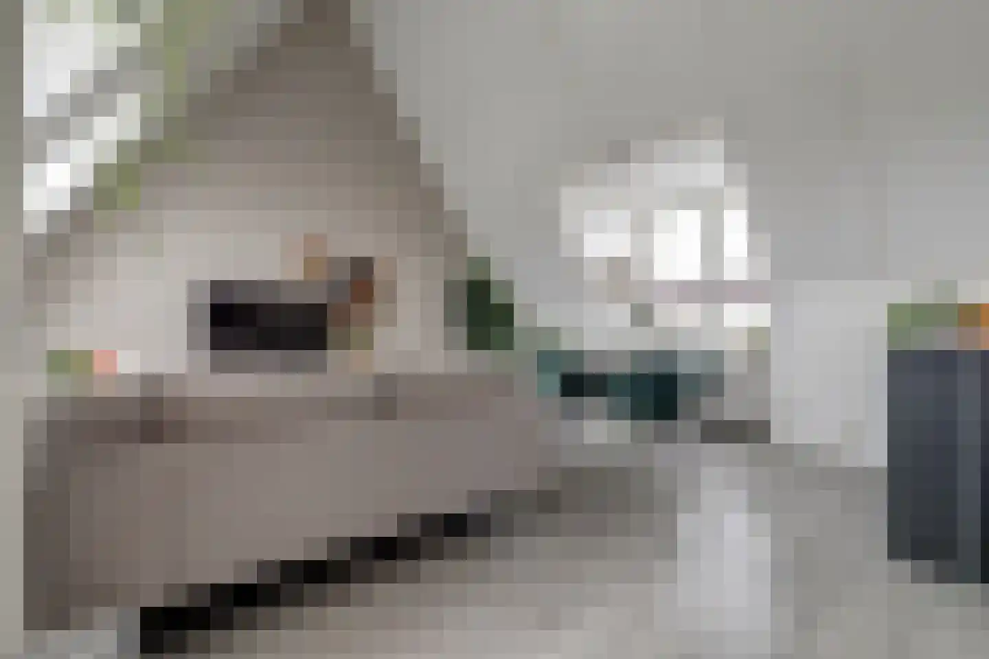 Nije Hof 1 Angeren thumbnail 15